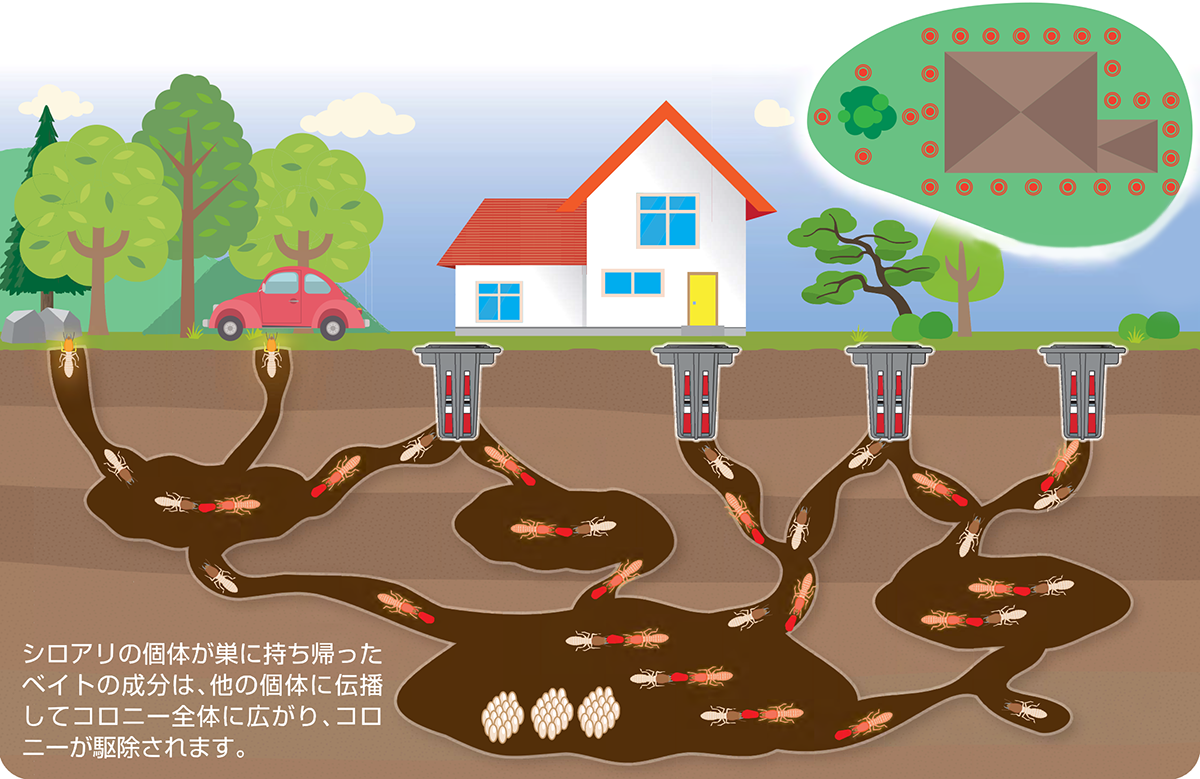 おすすめイメージ